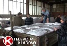 ZAHTEVA ZA SUBVENCIJE PODNELO 619 VLASNIKA GAZDINSTAVA