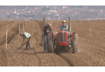RATARI U KLJUČU PODNELI 619 ZAHTEVA ZA SUBVENCIJE