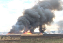 U JANUARU DESET POŽARA NA OTVORENOM PROSTORU