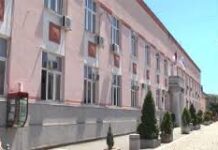 UJEDI PASA LUTALICA PRAZNE OPŠTINSKI BUDŽET