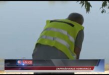 TRETIRANJE LARVI KOMARACA NA 550 HEKTARA