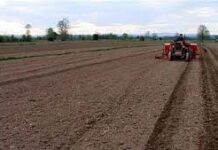 U DRUGOM KRUGU ZAKUPLJHENO 94,5 HEKTARA ORANICA