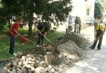 JP „KOMUNALAC“ KONKURISALO ZA JAVNI RAD