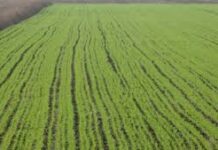 GODIŠNJI PROGRAM ZAŠTITE ,UREĐENJA I KORIŠĆENJA POLJOPRIVREDNOG ZEMLJIŠTA