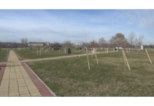 32 MILIONA DINARA ZA OČUVANJE ŽIVOTNE SRDINE