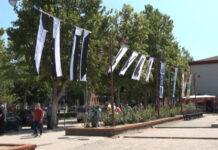 IZLOŽBA ZASTAVA KOJE SU OSLIKALI MAĐARSKI I SRPSKI UMRETNICI