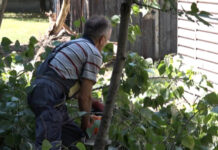 U JP „KOMUNALAC“ ZAVRŠEN JAVNI RAD