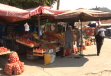 U SEZONI KILOGRAM PARADAJZA 120 DINARA