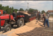 ZAVRŠEN OTKUP OVOGODIŠNJEG RODA MERKANTILNE PŠENICE