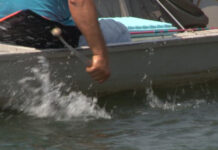 DOZVOLA ZA SPORTSKI RIBOLOV I NAREDNE GODINE 7.000 DINARA