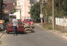 NAJVIŠE ŠUMOKRADICA U ISTOČNOJ SRBIJI NAVODE NADLEŽNI INSPEKTORI