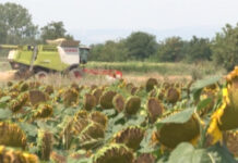 RASPISAN OGLAS ZA DAVANJE U ZAKUP 828 HEKTARA POLJOPRIVREDNOG ZEMLJIŠTA