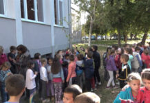 PRVACI ZASADILI DRVO GENERACIJE