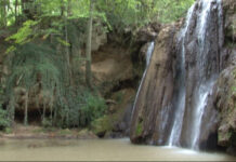 DRŽAVA ŠTITI BLEDERIJU