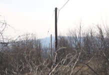 U ZASEOKU ALUN U OPŠTINI KLADOVO ZAMENJENE SU 22 TRULE BANDERE