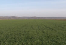 KREĆE LICITACIJA ZA ZAKUP POLJOPRIVREDNOG ZEMLJIŠTA