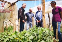 POVRTARSTVO ISPLATIV POSAO, VAŽNA PODRŠKA LOKALNE SAMOUPRAVE