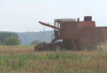 ZA PODSTICAJE U POLJOPRIVREDI OPŠTINA KLADOVO IZDVOJILA 15 MILIONA DINARA