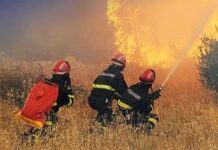 U SEPTEMBRU 19 POŽARA NA VIŠE OD 300 HEKTARA