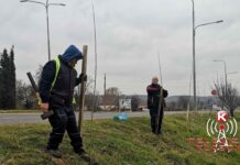 U KLADOVU PROSEČNA NETO JANUARSKA ZARADA 57.365 DINARA