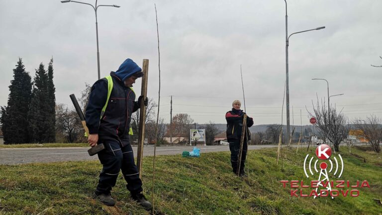 POSADI SVOJ HLAD-BESPLATNE SADNICE