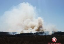 U MARTU GORELO NA SVE STRANE U OPŠTINI KLADOVO 40 POŽARA