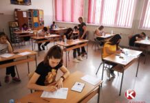 PROBNI TEST ZA OSMAKE 25. I 26.MARTA