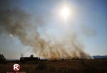 U AVGUSTU VATROGASCI GASILI 12 POŽARA