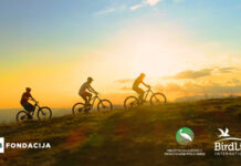 AKCIJA ZA MALU VRBICU U OKVIRU DANA EVROPSKOG ZELENOG POJASA