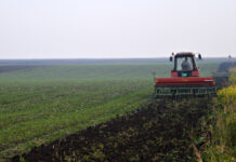 NASTAVLJENA SETVA PŠENICE U KLJUČKOJ NIZIJI