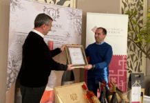 REGIONALNI BREND ISTOČNE SRBIJE