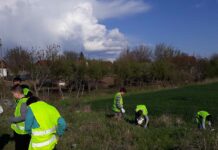 NOVA EKOLOŠKA AKCIJA U DRINSKOJ ULICI
