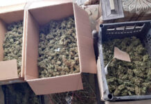 HAPŠENJA U KLADOVU ZBOG PROIZVODNJE I STAVLJANJA U PROMET OPOJNIH DROGA