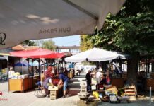 NA ZELENOJ PIJACI U KLADOVU, DOBRA PONUDA,POTRAŽNJA STAGNIRA