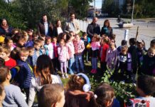 PRVACI ZASADILI DRVO GENERACIJE