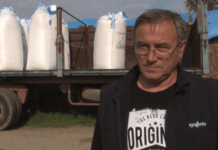 ISKUSNI POLJOPRIVREDNIK OTKRIVA KLJUČ DOBROG PRINOSA