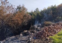 SMETLIŠTA U KLADOVU – NEKULTURA!