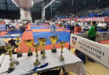 DOBAR PLASMAN KARATISTA U BEOGRADU