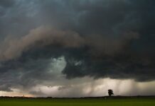 KRAJ SEZONE ODBRANE OD GRADA pixbay