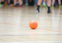 PORAZ RUKOMETAŠA pixabay