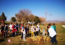 POSADI SVOJE DRVO – UDAHNI ČIST VAZDUH