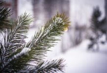 U PETAK U 4 SATA I 27 MINUTA POČINJE ZIMA