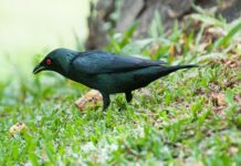 U OPŠTINI KLADOVO ČETIRI LOVNA PODRUČJA