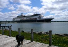 VIŠE KRUZERA U KLADOVSKOM PRISTANIŠTU