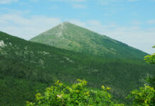 LEKSIKON ZDRAVSTVENE KULTURE TIMOČKE KRAJINE – Boljevačka bolnica