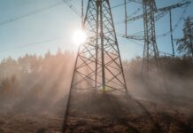 SEČA RASTINJA U ZAŠTITNOM DELU DALEKOVODA