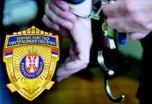 HAPŠENJA U BORU ZBOG KRAĐE