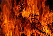 POŽAR U MALOJ VRBICI