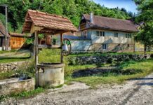 JAVNI POZIV ZA DODELU 15 SEOSKIH DOMAĆINSTAVA