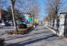 POOŠTRENA KONTROLA KOMUNALNOG REDA /VIDEO/